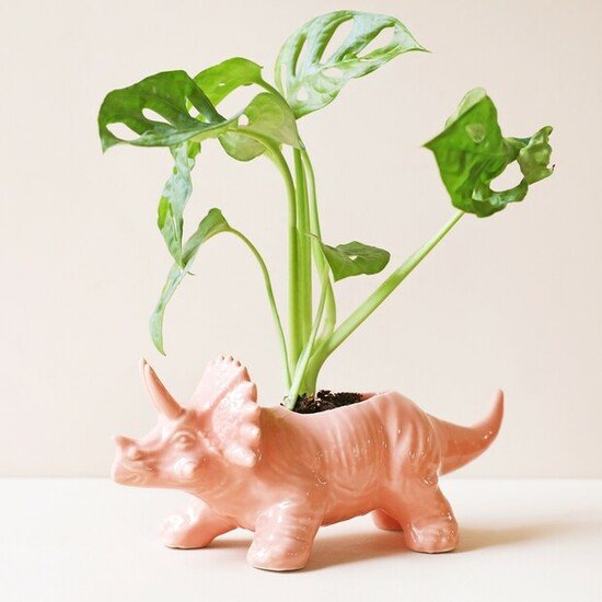 PINK TRICERATOPS DINOSAUR PLANTER