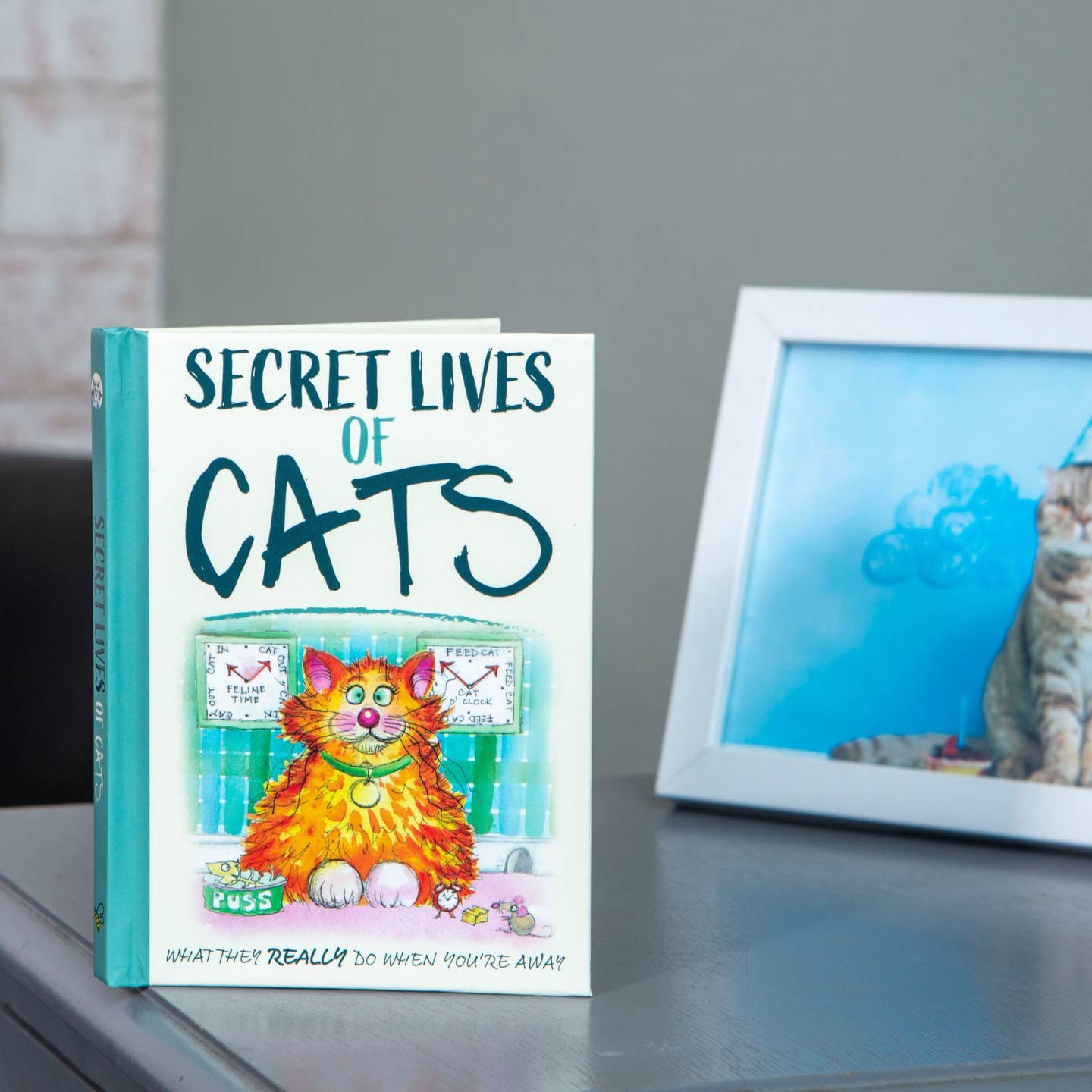The Secret Lives of Cats: Gift Book For Cat Lovers
