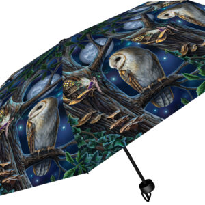 Fairy Tales Umbrella (LP)