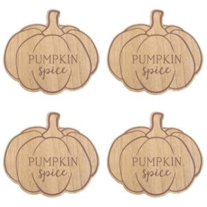 Pumpkin Spice Coaster Set